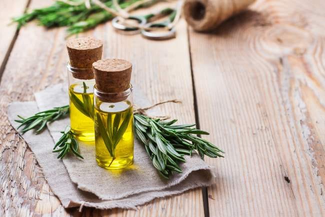 Rosemary Oil, Ketahui 7 Manfaatnya bagi Kesehatan Fisik dan Mental - Alodokter