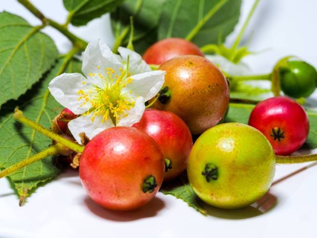 Buah Kersen untuk Asam Urat, Ketahui Manfaat dan Tips Mengolahnya - Alodokter