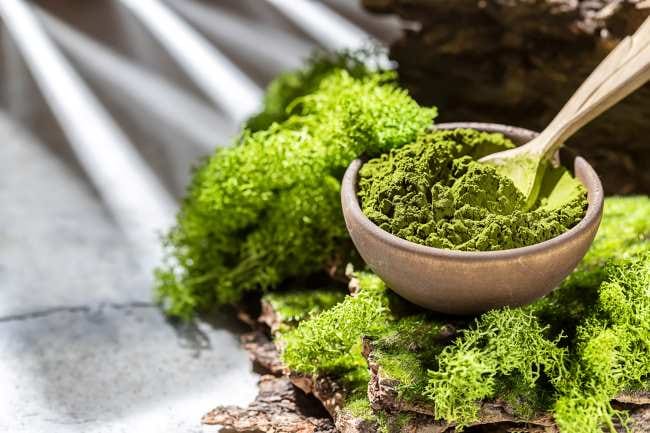 Chlorella, Ini 10 Manfaatnya bagi Kesehatan Tubuh