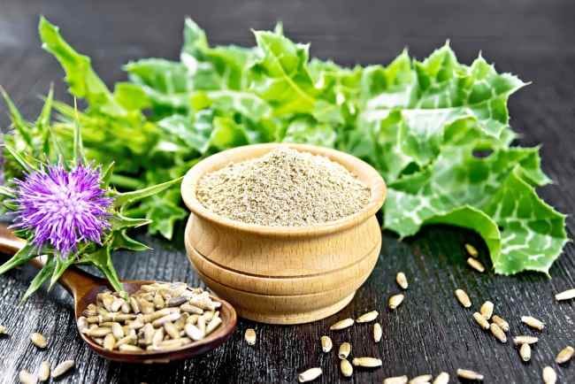 Manfaat Milk Thistle