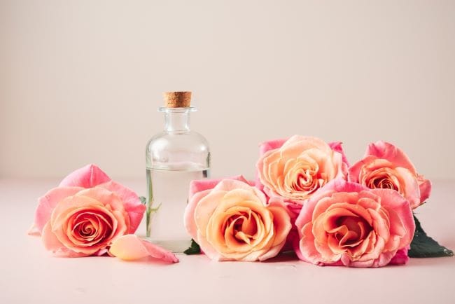 9 Manfaat Bunga Mawar, Mulai dari Meringankan Nyeri Haid hingga Meredakan Iritasi - Alodokter