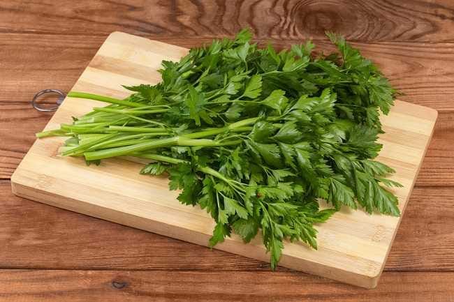 Parsley, Tanaman Herba yang Bermanfaat bagi Kesehatan - Alodokter