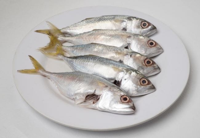 Informasi Ikan Kembung untuk MPASI yang Perlu Diketahui para Ibu - Alodokter