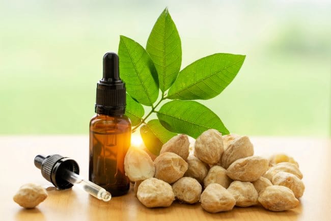 Minyak Kemiri Bakar, Inilah 6 Manfaatnya bagi Kulit dan Rambut - Alodokter