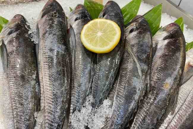 Ikan Kutuk, Inilah 10 Manfaat dan Kandungan Nutrisinya - Alodokter