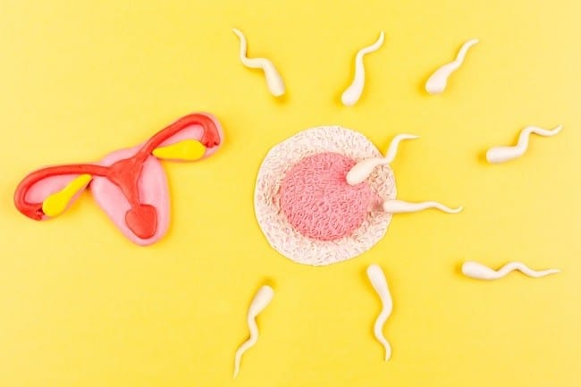 Ciri-Ciri Sperma Masuk Rahim dan Tips Meningkatkan Peluang Hamil - Alodokter