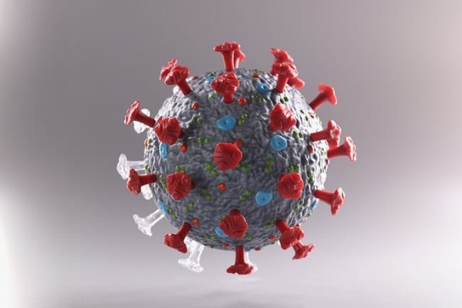 Paramyxovirus, Inilah Penyakit yang Dapat Ditimbulkan dan Cara Mencegahnya - Alodokter