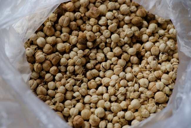 Kapulaga Jawa, Rempah yang Kaya Nutrisi dan Manfaat - Alodokter