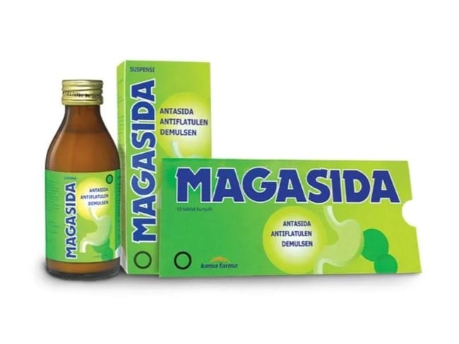 Magasida