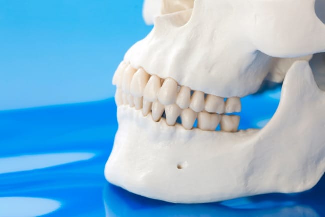 Tulang Rahang, Kenali Anatomi, Fungsi, dan Penyakit yang Mungkin Terjadi - Alodokter