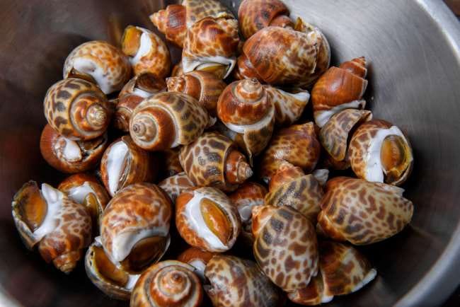 Keong Macan, Inilah Manfaat dan Cara Mengolahnya - Alodokter
