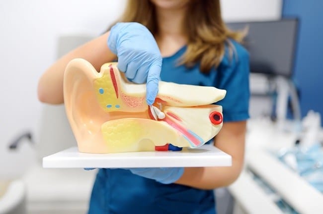 Ketahui Fungsi Gendang Telinga dan Gangguan yang Dapat Menyerangnya - Alodokter