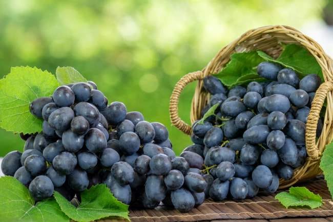 Anggur Hitam, Inilah Nutrisi, Manfaat, dan Cara Mengonsumsinya - Alodokter