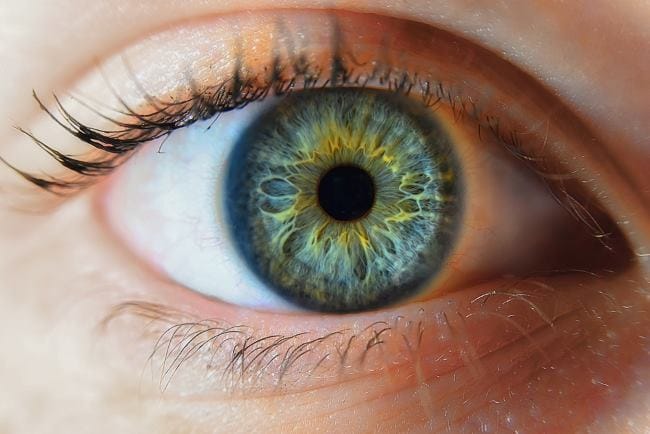 Iris Mata, Ketahui Bagian dan Fungsinya - Alodokter