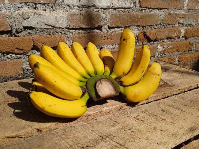 Pisang Mas, Inilah Kandungan Nutrisi dan Manfaatnya bagi Kesehatan - Alodokter