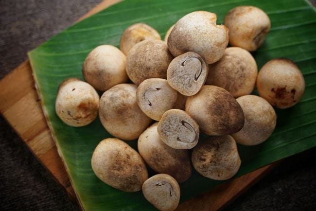 Jamur Merang, Ketahui Kandungan Nutrisi dan Manfaatnya bagi Kesehatan - Alodokter