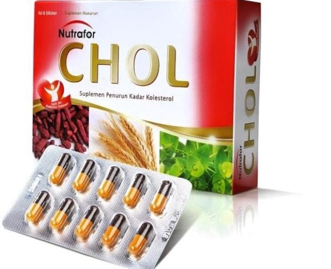 8 Obat Kolesterol Alami yang Ampuh dan Mudah Didapat - Alodokter
