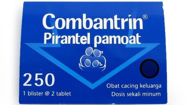 6 Obat Cacing Anak yang Aman dan Efektif Basmi Cacingan - Alodokter