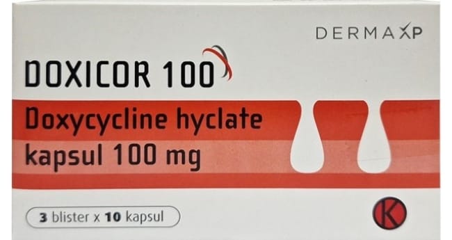 5 Obat Malaria yang Efektif di Apotik - Alodokter