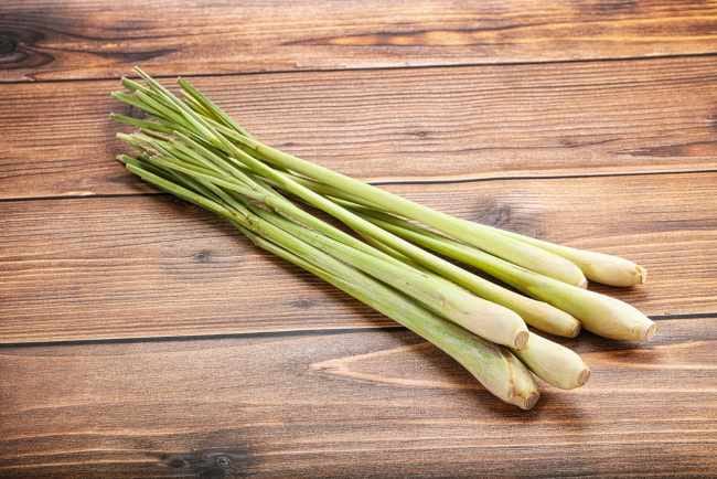 7 Manfaat Sereh untuk Pria yang Sayang Dilewatkan - Alodokter