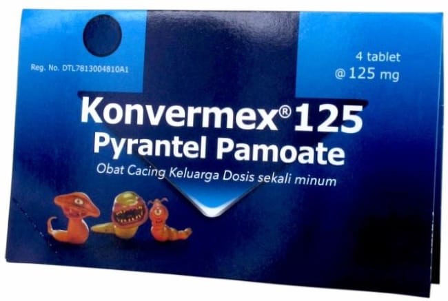 7 Obat Cacing Kremi yang Ampuh dan Bisa Didapatkan di Apotik - Alodokter