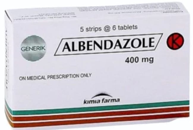 7 Obat Cacing Kremi yang Ampuh dan Bisa Didapatkan di Apotik - Alodokter