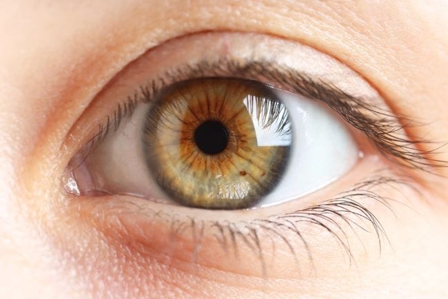 Fungsi Retina dan Gangguan yang Bisa Terjadi - Alodokter