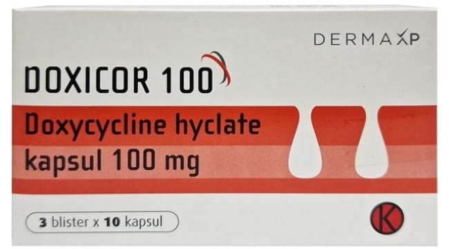 7 Obat Raja Singa yang Paling Mujarab - Alodokter