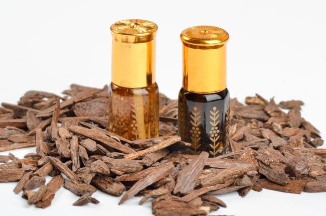 Kayu Gaharu, Tanaman Herba yang Bermanfaat bagi Kesehatan - Alodokter