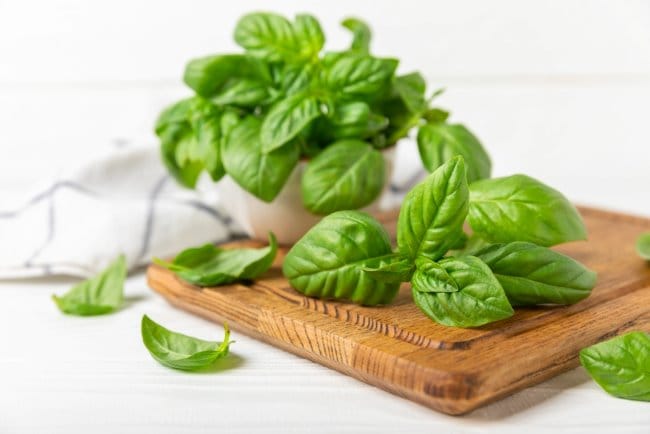 Daun Basil, Inilah Manfaat dan Tips Konsumsinya yang Aman - Alodokter