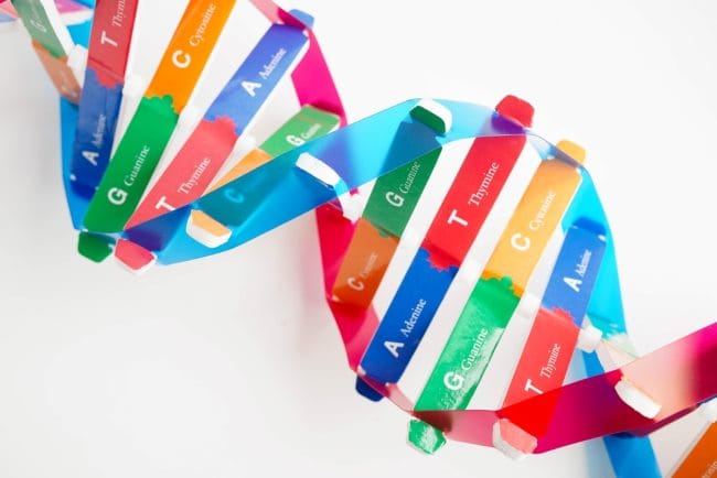 Perbedaan DNA dan RNA yang Mudah Dipahami - Alodokter