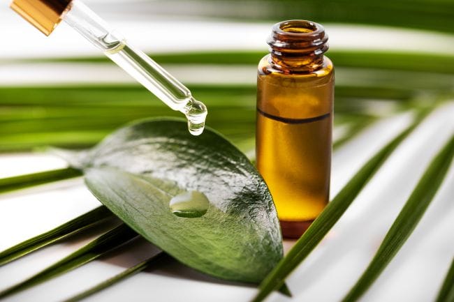 6 Manfaat Tea Tree Oil untuk Rambut Sehat dan Terawat - Alodokter