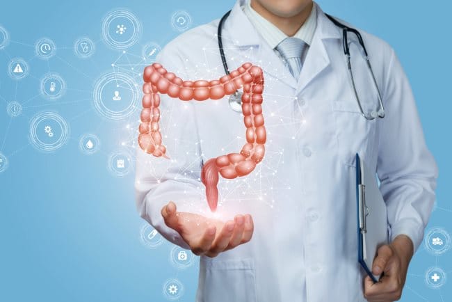 Fungsi Usus Besar dalam Sistem Pencernaan dan Tips Menjaga Kesehatannya - Alodokter