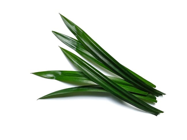 7 Khasiat Daun Pandan untuk Pria yang Jarang Diketahui - Alodokter