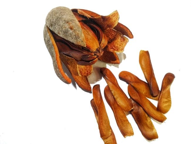 4 Manfaat Buah Mahoni untuk Alat Vital Pria dan Risiko Efek Sampingnya - Alodokter