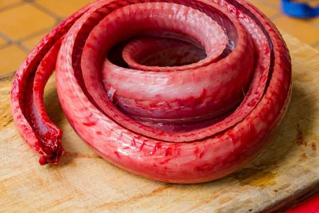 Daging Ular Bagus untuk Kulit, Ini Fakta Medisnya - Alodokter