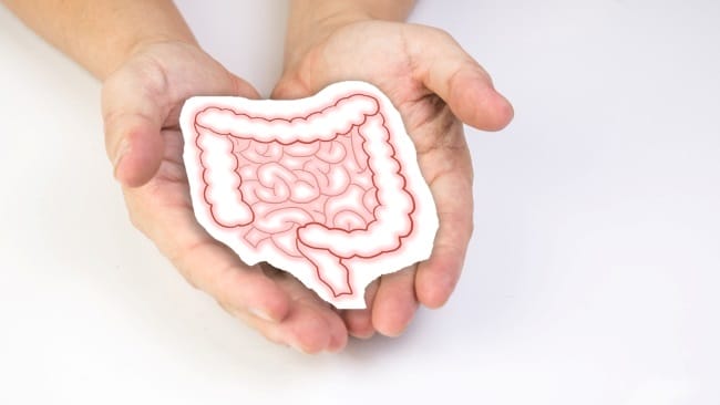 Detox Usus, Ini Fakta Medis yang Harus Diketahui - Alodokter