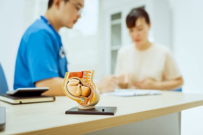 Janin 5 Bulan Sebesar Apa? Segini Ukuran dan Perkembangannya - Alodokter