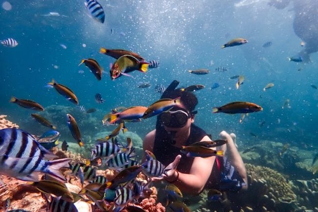 Manfaat Olahraga Snorkeling untuk Tubuh Sehat dan Pikiran Tenang - Alodokter