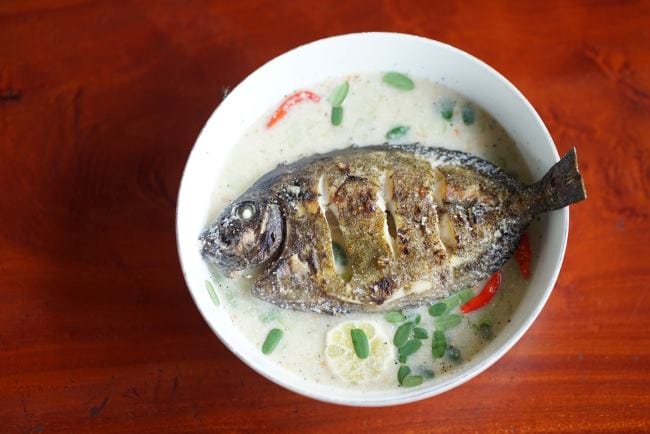 Ikan Sepat, Inilah Kandungan Nutrisi dan Manfaatnya bagi Kesehatan - Alodokter