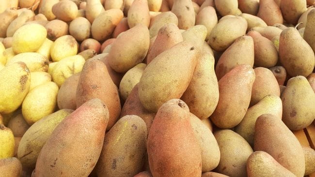 Buah Kemang, Manfaat dan Hal-Hal yang Harus Diperhatikan sebelum Mengonsumsinya - Alodokter