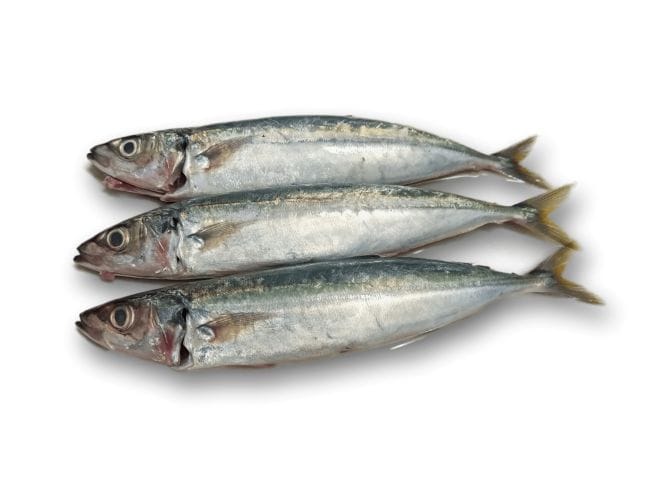 Mengenal Ikan Layang, Sumber Protein Hewani yang Enak, Ekonomis dan Bergizi - Alodokter