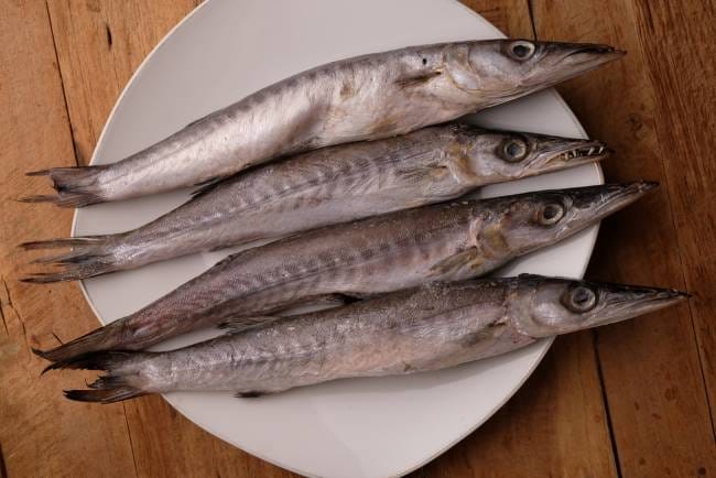 Ikan Barakuda, Ini Kandungan Gizi dan Manfaatnya untuk Kesehatan - Alodokter