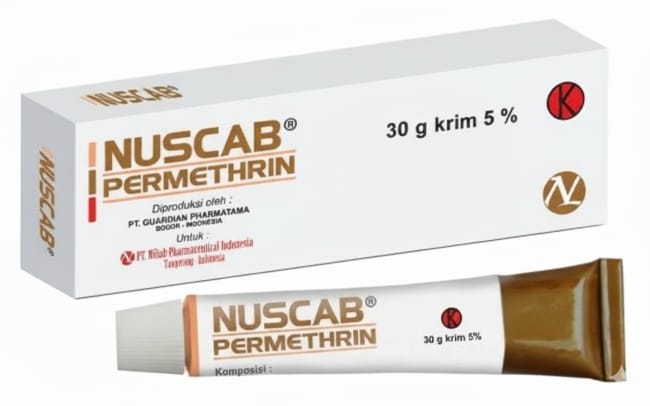 8 Obat Scabies di Apotik yang Ampuh - Alodokter