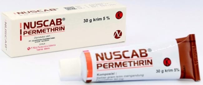 5 Obat Penghilang Kutu Rambut dan Telurnya yang Ampuh - Alodokter