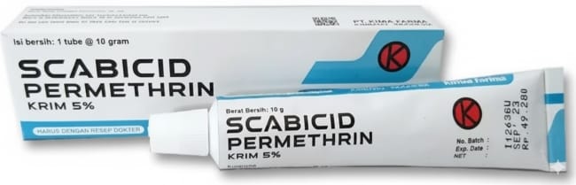 5 Obat Penghilang Kutu Rambut dan Telurnya yang Ampuh - Alodokter