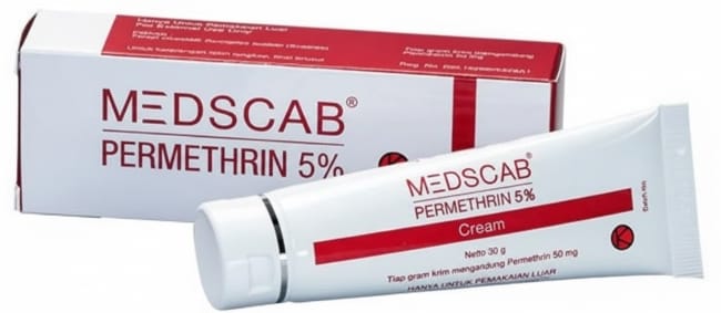 5 Obat Penghilang Kutu Rambut dan Telurnya yang Ampuh - Alodokter