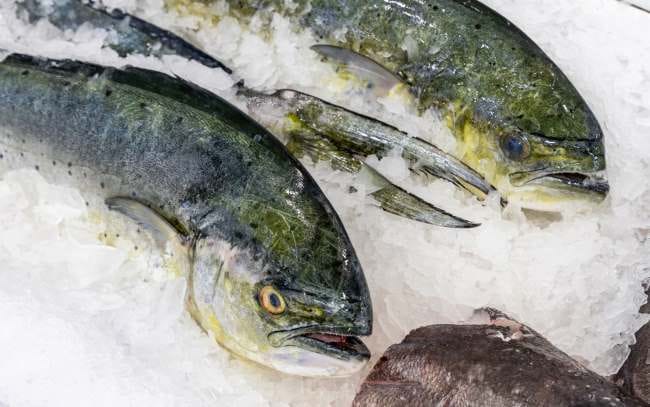Ikan Mahi-Mahi, Ini Kandungan Gizi dan Manfaatnya untuk Kesehatan - Alodokter