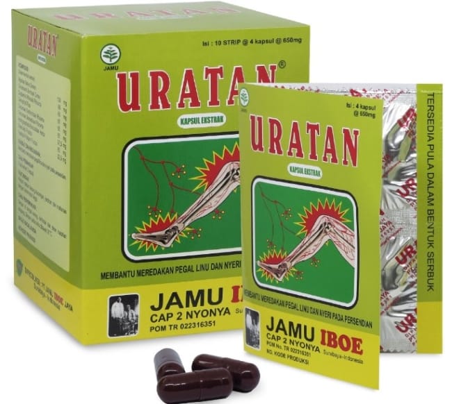 6 Obat Herbal untuk Asam Urat yang Ampuh Meredakan Nyeri Sendi - Alodokter