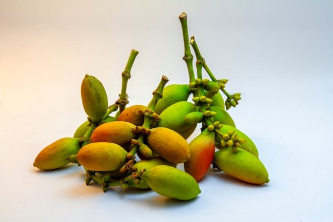 Melinjo, Ini Manfaat, Efek Samping, dan Cara Mengolahnya - Alodokter